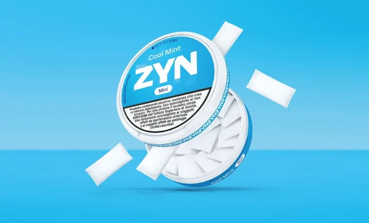 Bustine di nicotina Zyn