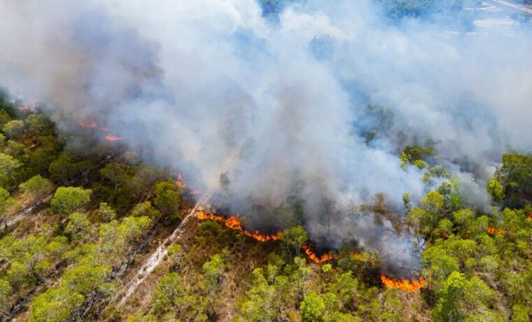 Incendi boschivi in Italia 2026