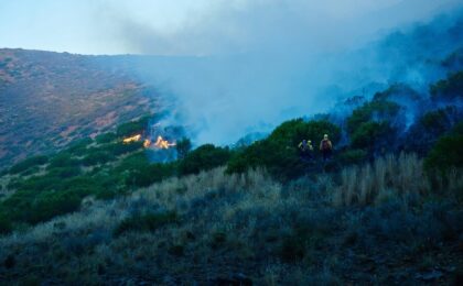 Interventi dei Vigili del Fuoco in Sicilia