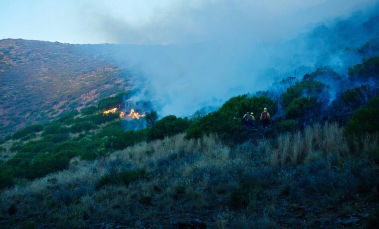 Interventi dei Vigili del Fuoco in Sicilia