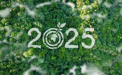Grafica del Bilancio di Sostenibilità 2025 di Engineering