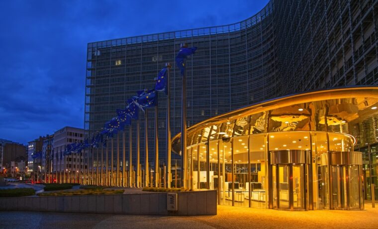 Commissione Europea e accesso minori alle reti sociali