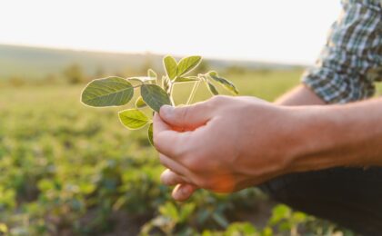 Investimento nel settore AgrifoodTech