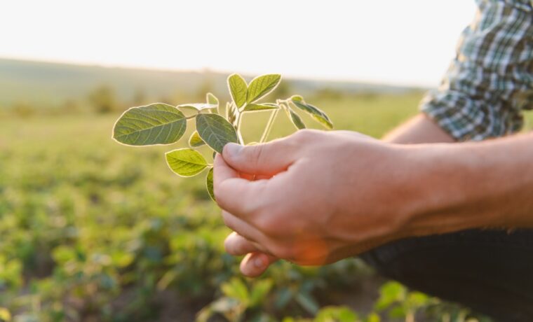 Investimento nel settore AgrifoodTech