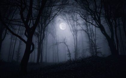 Silent Hill: Townfall - immagine del gioco